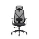 Kalos Mesh Ergonomic Office Chair 